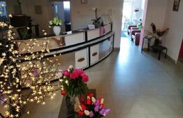 Spatiu comercial P-1-M,  850 mp, zona Catargiu
