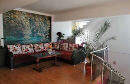 Spatiu comercial P-1-M,  850 mp, zona Catargiu