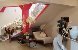 Spatiu comercial P-1-M,  850 mp, zona Catargiu