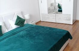 Spatiu comercial P-1-M,  850 mp, zona Catargiu