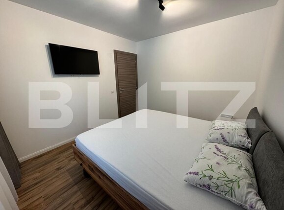 Apartament de închiriat 3 camere Lapus Arges - 194780AI | BLITZ Craiova | Poza6