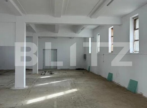 Spațiu industrial de închiriat Brestei - 194849SII | BLITZ Craiova | Poza4