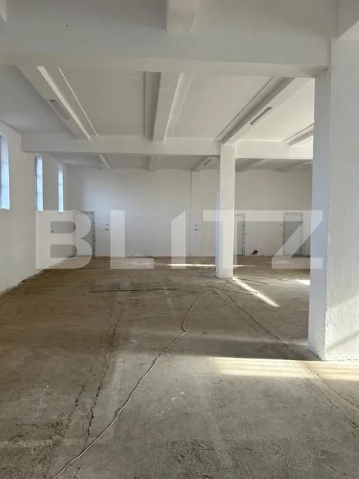 Spațiu industrial de închiriat Brestei - 194849SII | BLITZ Craiova | Poza2