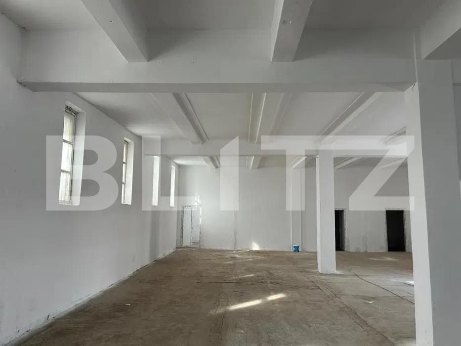 Spațiu industrial de închiriat Brestei - 194849SII | BLITZ Craiova | Poza5