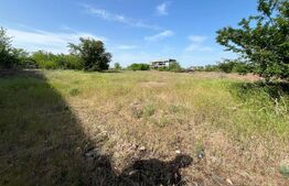 Teren intravilan 13.000 mp, ideal hale - investiție comercială, zona Brestei