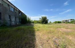 Teren intravilan 13.000 mp, ideal hale - investiție comercială, zona Brestei