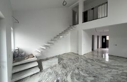 Casa P+1, 140 mp suprafata utila, 370 mp curte, cartier Damila