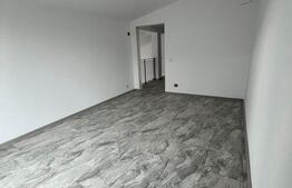 Casa P+1, 140 mp suprafata utila, 370 mp curte, cartier Damila