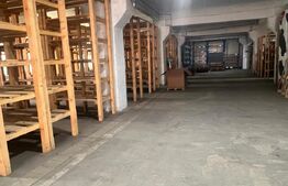 Hala 450 mp, zona Parcul Tineretului