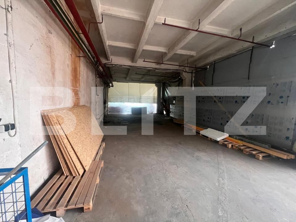 Spațiu industrial de închiriat Mofleni - 194862SII | BLITZ Craiova | Poza3