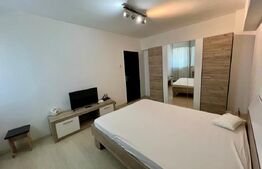 Garsoniera, 27 mp, AC, parter, zona Centrala