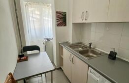 Garsoniera, 27 mp, AC, parter, zona Centrala