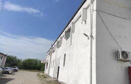 Hală industrială 960 mp, curte 1300 mp, panouri fotovoltaice 30 kW, zona Brestei