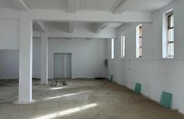 Hală industrială 960 mp, curte 1300 mp, panouri fotovoltaice 30 kW, zona Brestei