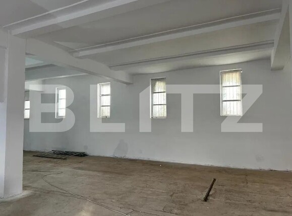 Spațiu industrial de vânzare Brestei - 194871SVI | BLITZ Craiova | Poza3