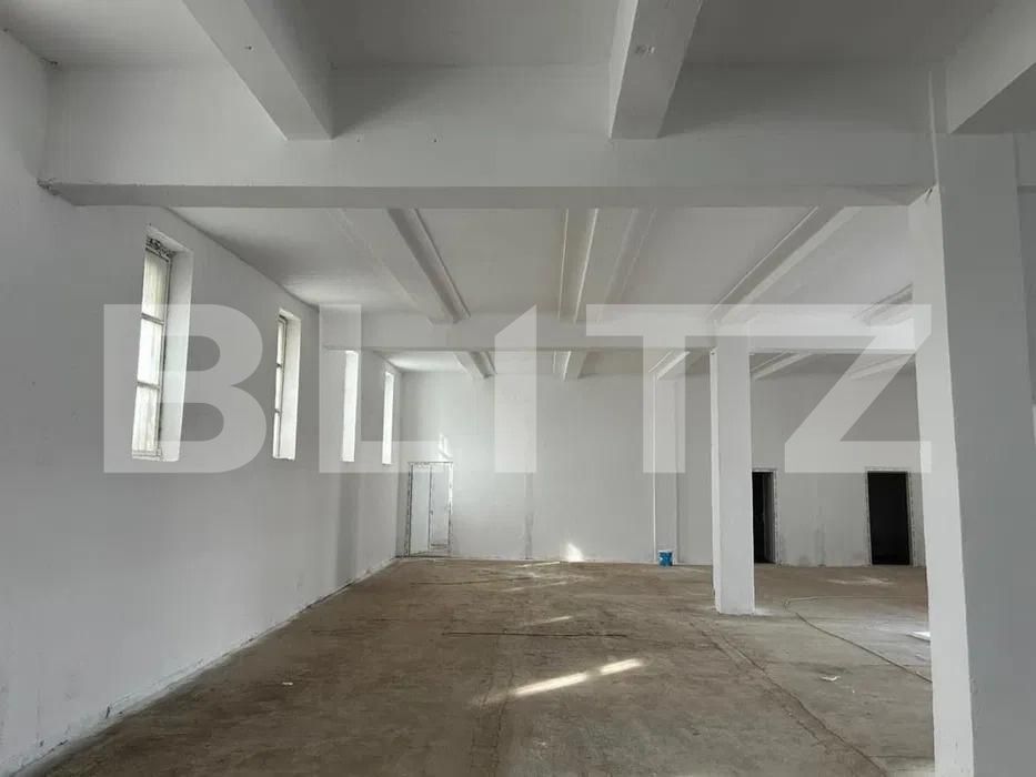 Spațiu industrial de vânzare Brestei - 194871SVI | BLITZ Craiova | Poza2