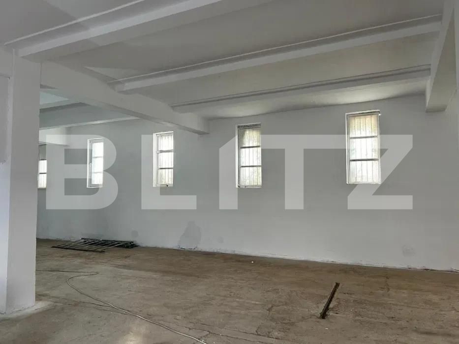 Spațiu industrial de vânzare Brestei - 194871SVI | BLITZ Craiova | Poza3