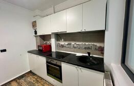 Apartament cu 2 camere, parter, centrala si AC, zona centrala