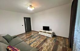 Apartament cu 2 camere, parter, centrala si AC, zona centrala