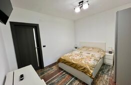 Apartament cu 2 camere, parter, centrala si AC, zona centrala