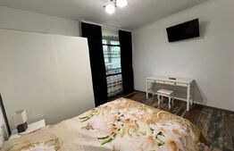 Apartament cu 2 camere, parter, centrala si AC, zona centrala