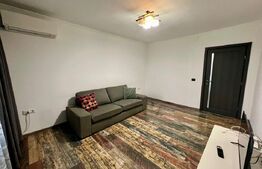 Apartament cu 2 camere, parter, centrala si AC, zona centrala