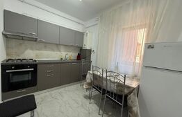 Apartament de inchiriat, 2 camere, 58 mp, centrala proprie, Calea Severinului