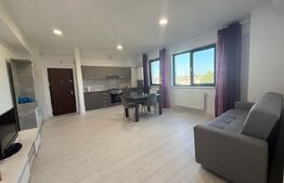 Apartament de inchiriat, 2 camere, open-space, 63 mp, zona Consul
