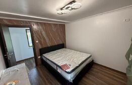 Casa pe parter+casa de oaspeti, 3000 mp teren, zona Cotofenii din Fata