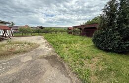 Casa pe parter+casa de oaspeti, 3000 mp teren, zona Cotofenii din Fata