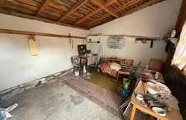 Casa pe parter+casa de oaspeti, 3000 mp teren, zona Cotofenii din Fata