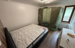 Casa pe parter+casa de oaspeti, 3000 mp teren, zona Cotofenii din Fata