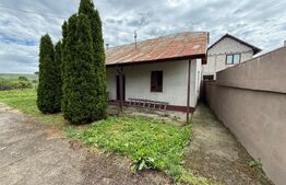 Casa pe parter+casa de oaspeti, 3000 mp teren, zona Cotofenii din Fata