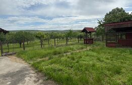 Casa pe parter+casa de oaspeti, 3000 mp teren, zona Cotofenii din Fata