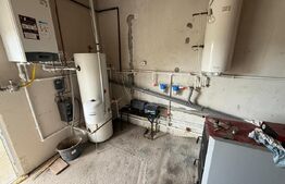 Casa pe parter+casa de oaspeti, 3000 mp teren, zona Cotofenii din Fata