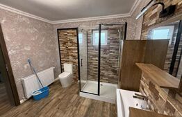 Casa pe parter+casa de oaspeti, 3000 mp teren, zona Cotofenii din Fata