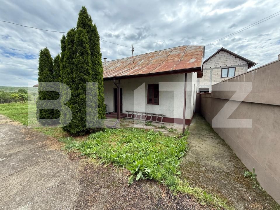Casa de vânzare 6 camere Exterior Vest - 195040CV | BLITZ Craiova | Poza15
