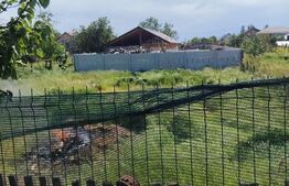 Casa de vanzare, 741 mp teren, zona Coșoveni -Dolj 