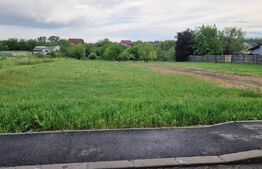 Teren intravilan, 4155 mp, D 29ml, zona Nitela-Centura de Nord
