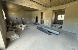 Casa P+E, 146 mp, 389 mp teren, zona Ionumi