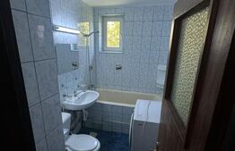 Apartament 2 camere, 60 mp, complet utilat si mobilat, zona Rovine 