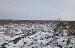 Teren intravilan 1900 mp de vânzare – Malu Mare