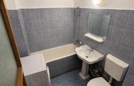 Garsoniera de vanzare, 30 mp, zona Brazda lui Novac