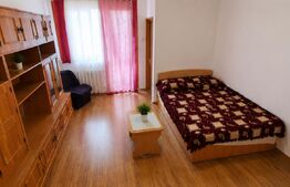 Garsoniera de vanzare, 30 mp, zona Brazda lui Novac