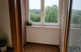 Garsoniera de vanzare, 30 mp, zona Brazda lui Novac