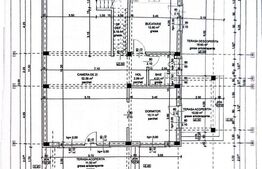 Casa cu pisicina, 184 mp, în curs de finalizare, P+E, zona Selgros