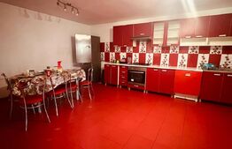 Casă P+1, în Preajba, cazare muncitori