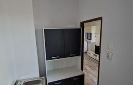 Garsonieră mobilată/utilată, 31 mp, zona Brazda lui Novac