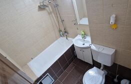 Garsonieră mobilată/utilată, 31 mp, zona Brazda lui Novac