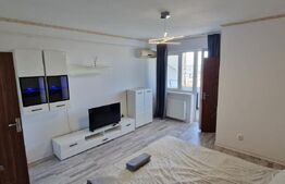 Garsonieră mobilată/utilată, 31 mp, zona Brazda lui Novac
